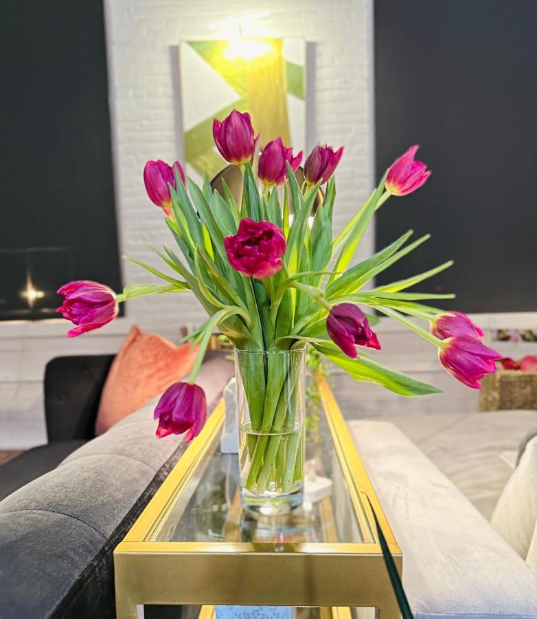 2Br 2Br Le Chateau 505 Lux Penthouse In A Historic Building ยูทิกา ภายนอก รูปภาพ